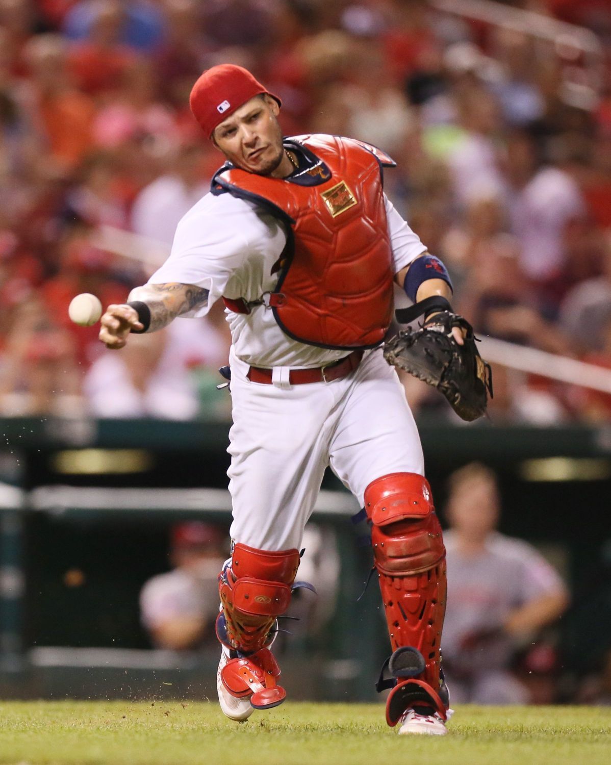 Molina throws out Joey Votto